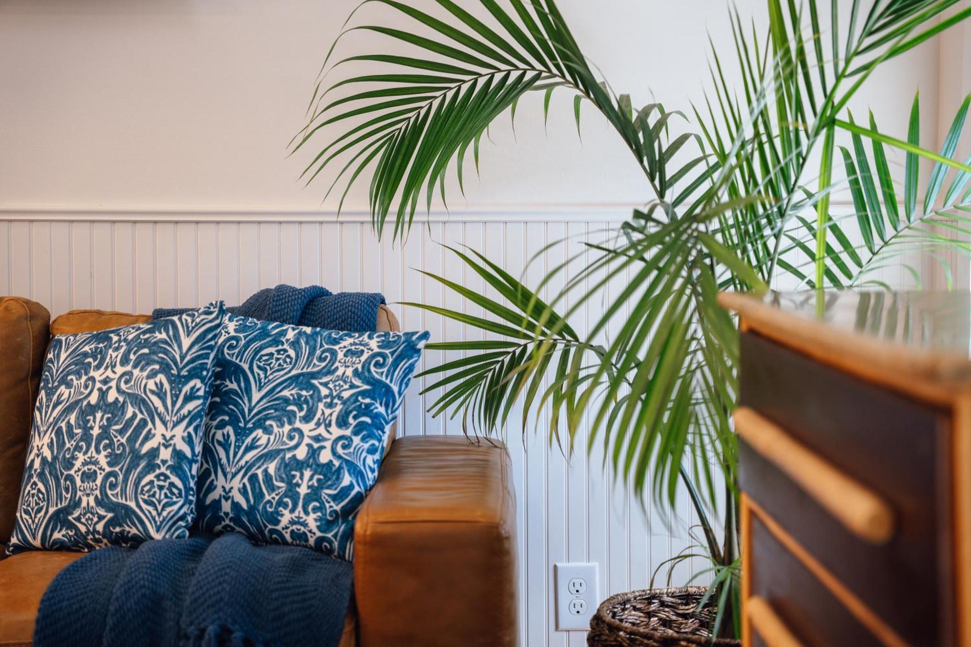 Swank Boutique Suites Ashland Exteriör bild